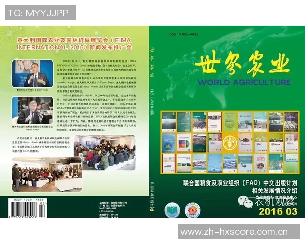 重庆网球队在世锦赛中的团队协作表现分析与启示
